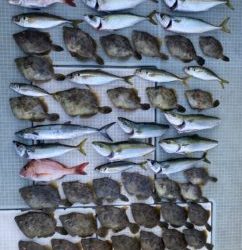 さぶろう丸 釣果