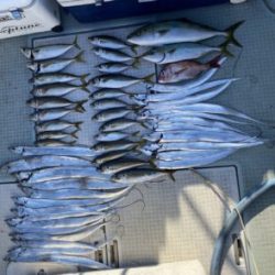 さぶろう丸 釣果