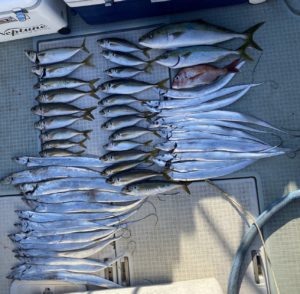 さぶろう丸 釣果