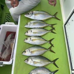 松栄丸 釣果