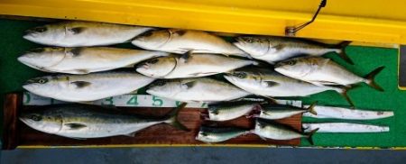 火遠理丸（ほおりまる） 釣果