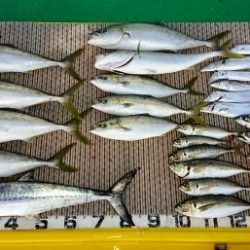 火遠理丸(ほおりまる) 釣果