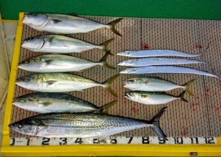 火遠理丸(ほおりまる) 釣果