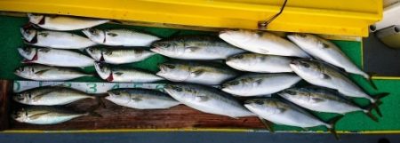 火遠理丸(ほおりまる) 釣果