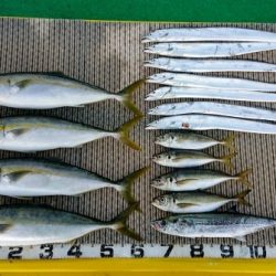 火遠理丸(ほおりまる) 釣果