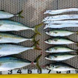 火遠理丸(ほおりまる) 釣果