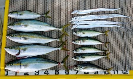 火遠理丸(ほおりまる) 釣果