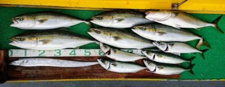 火遠理丸(ほおりまる) 釣果