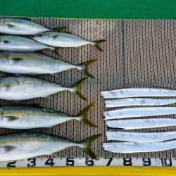 火遠理丸(ほおりまる) 釣果