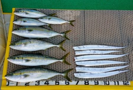 火遠理丸(ほおりまる) 釣果