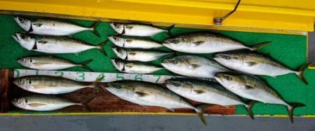 火遠理丸(ほおりまる) 釣果