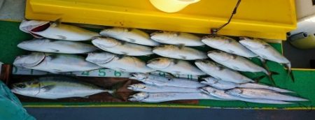 火遠理丸(ほおりまる) 釣果