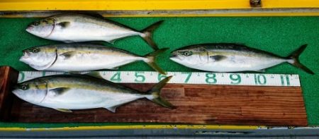 火遠理丸(ほおりまる) 釣果