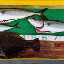 火遠理丸(ほおりまる) 釣果