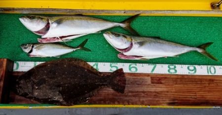 火遠理丸(ほおりまる) 釣果