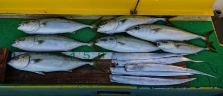 火遠理丸（ほおりまる） 釣果