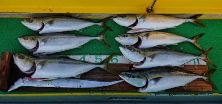 火遠理丸(ほおりまる) 釣果