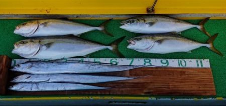 火遠理丸(ほおりまる) 釣果