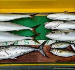 火遠理丸(ほおりまる) 釣果