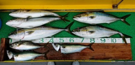 火遠理丸(ほおりまる) 釣果