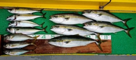 火遠理丸(ほおりまる) 釣果