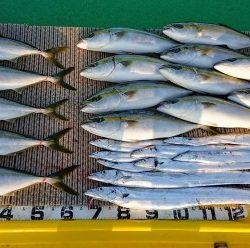 火遠理丸(ほおりまる) 釣果