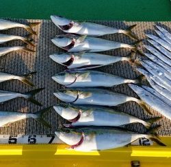 火遠理丸(ほおりまる) 釣果