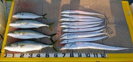 火遠理丸(ほおりまる) 釣果