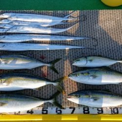 火遠理丸(ほおりまる) 釣果