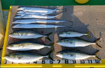 火遠理丸(ほおりまる) 釣果