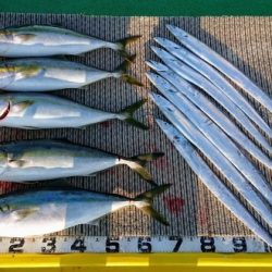 火遠理丸(ほおりまる) 釣果