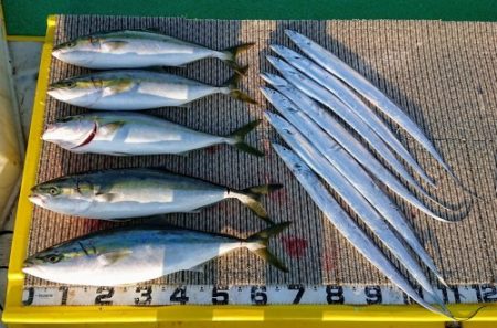 火遠理丸(ほおりまる) 釣果