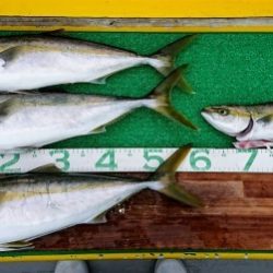 火遠理丸（ほおりまる） 釣果