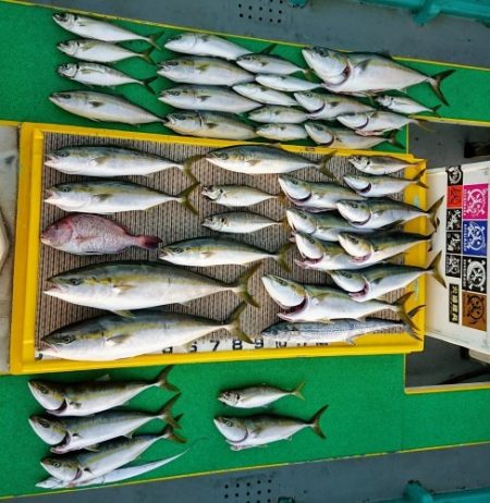 火遠理丸（ほおりまる） 釣果