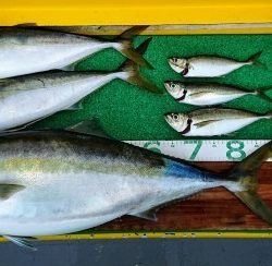 火遠理丸(ほおりまる) 釣果