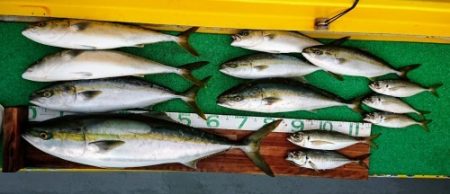 火遠理丸(ほおりまる) 釣果