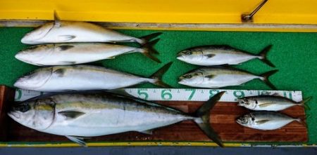 火遠理丸(ほおりまる) 釣果