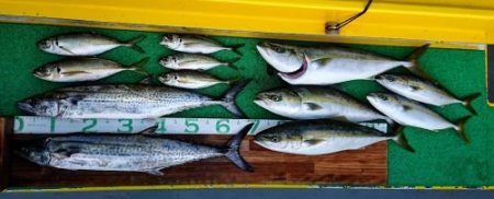 火遠理丸(ほおりまる) 釣果