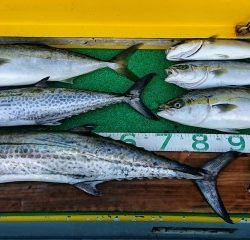 火遠理丸(ほおりまる) 釣果