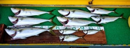 火遠理丸(ほおりまる) 釣果