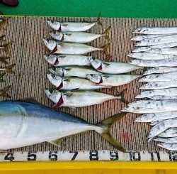 火遠理丸(ほおりまる) 釣果