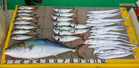 火遠理丸（ほおりまる） 釣果