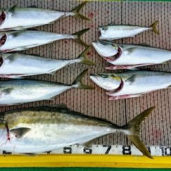 火遠理丸(ほおりまる) 釣果