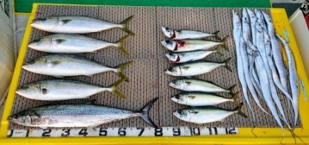 火遠理丸(ほおりまる) 釣果