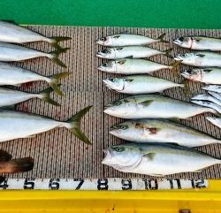 火遠理丸(ほおりまる) 釣果