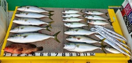 火遠理丸(ほおりまる) 釣果