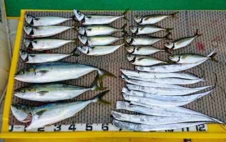 火遠理丸(ほおりまる) 釣果