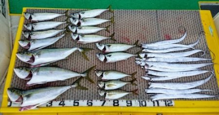 火遠理丸(ほおりまる) 釣果