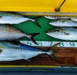 火遠理丸(ほおりまる) 釣果