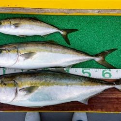 火遠理丸(ほおりまる) 釣果